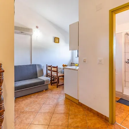 House Mocibob