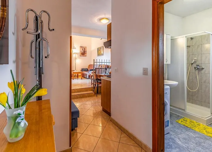 Apartman House Mocibob *